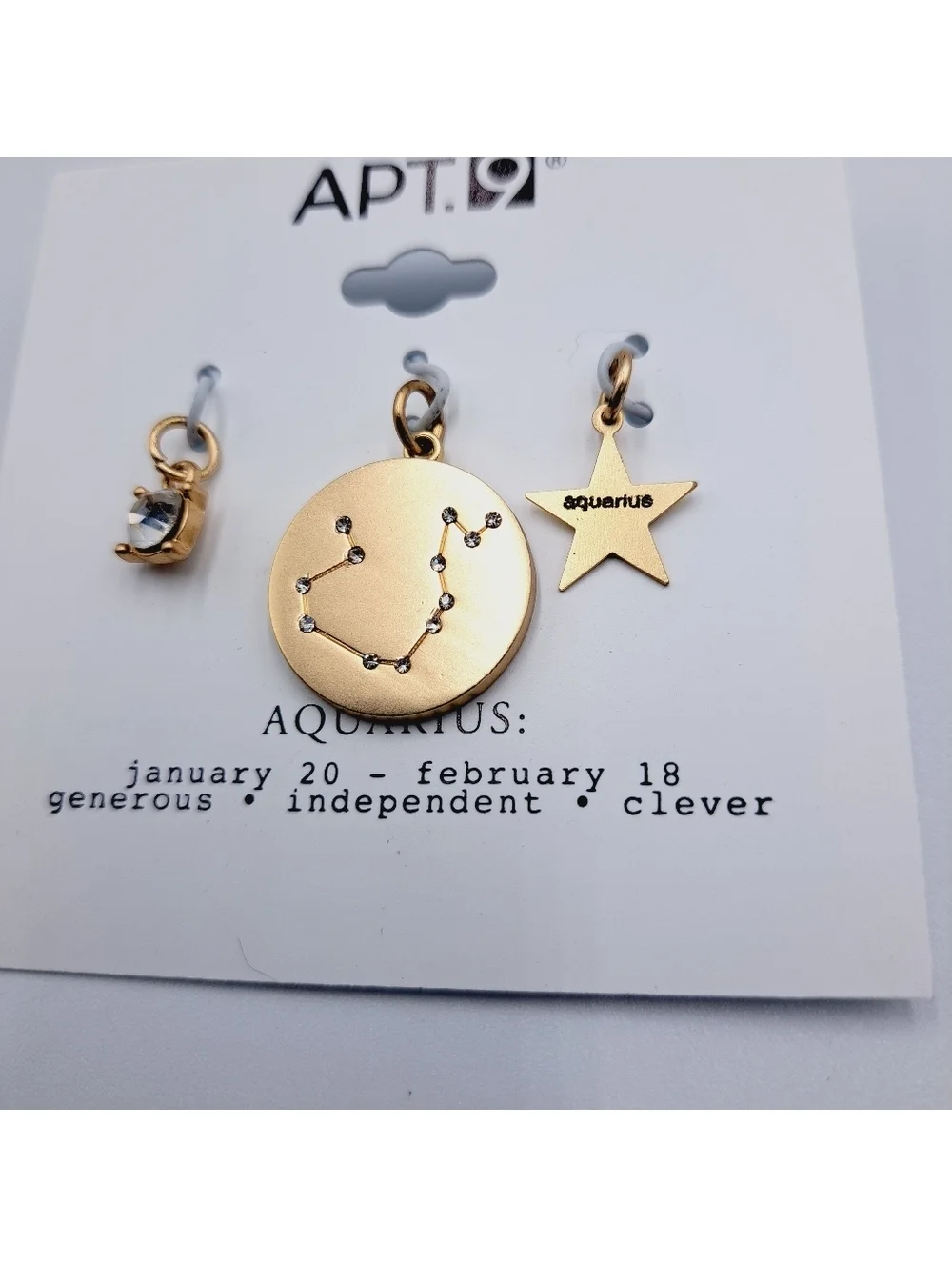 Aquarius Zodiac Pendant Charm Set